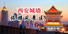 大鸡巴双飞毛片中国陕西-西安城墙旅游风景区